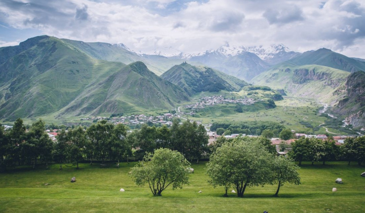Fotka - Africký  mor ošípaných